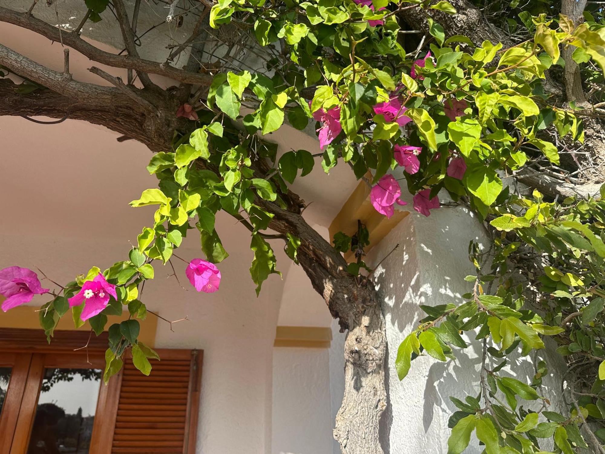 Casa Hermosa Mijas Luaran gambar